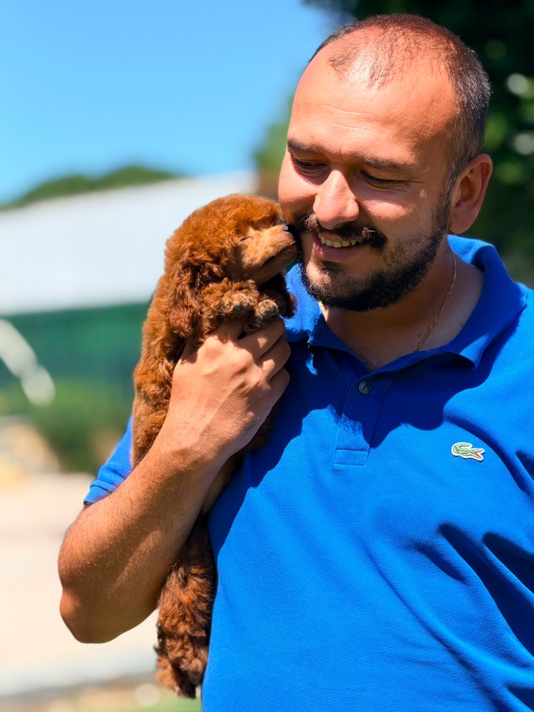 Bahçeşehir Köpek Eğitimi — Uzman Kinoloji Rehberi